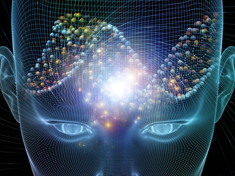 The Brain in Psychology II | Harvard University