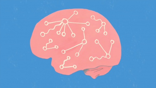 Fundamentals Of Neuroscience, Part 3: The Brain | Harvard University