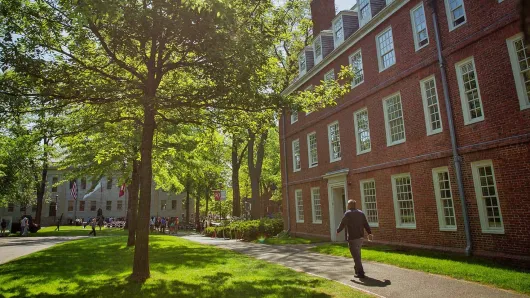 Harvard Yard Student
