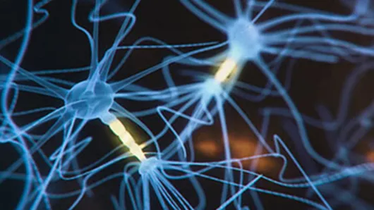 Neuro