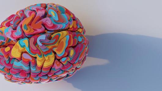 rainbow brain