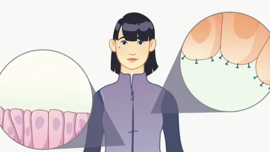 Immune tolerance