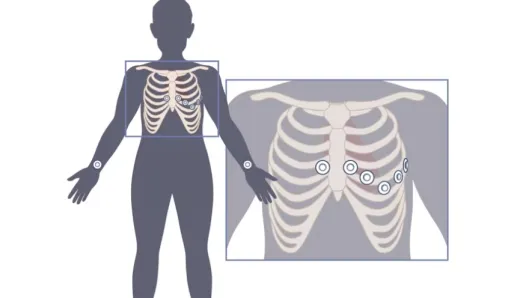 Biomedical