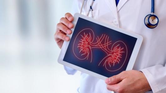 A health care provider holding a tablet with an outline of the kidneys.