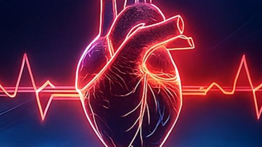 An illustration of a heart with a heart beat behind it. 