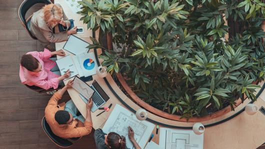 a group working at a table that surrounds a tree