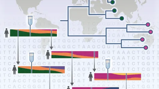 CDC C2 web image.