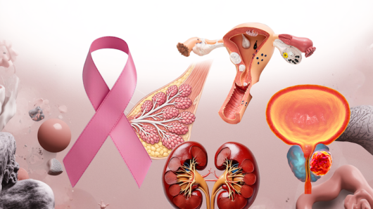 Different medical images of womens health, including a breast, a uterus and kidneys.