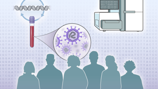 Illustration from Pathogen Genomics for Public Health course.