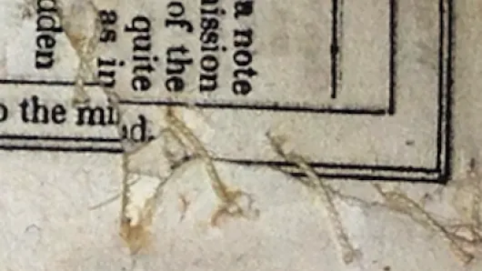 book manuscript from The Book: Histories Across Time and Space 