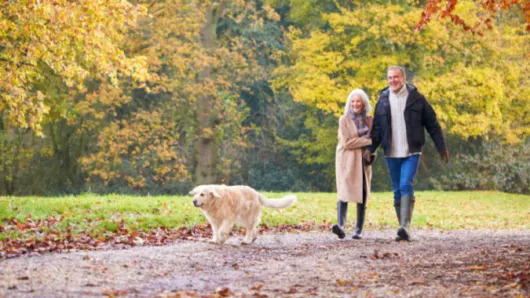 Couple walking dog