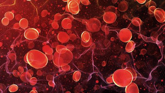 Hematology cells