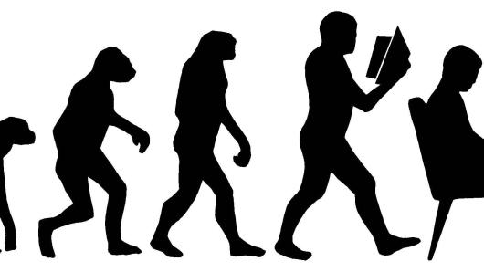 Evolution graphic