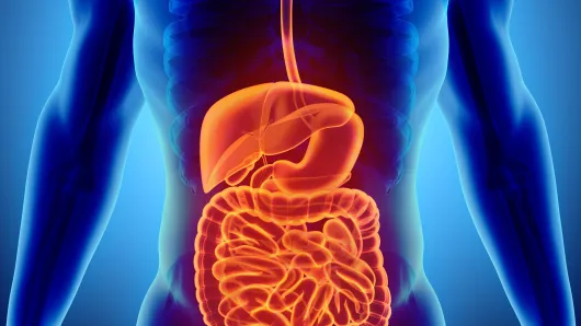 Gastroenterology.