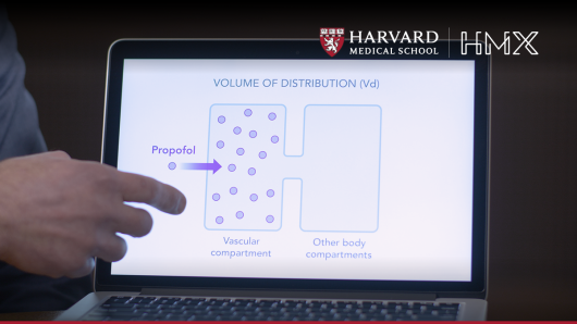 A person showing the volume of distribution from a laptop screen.