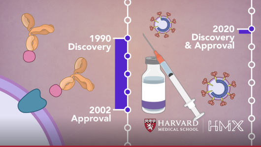 A timeline on drug discovery with animated images.