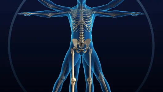 Internal medicine icon.