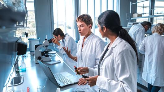 Lab technicians working with computer and lab equipment