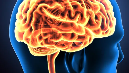 Neurology.