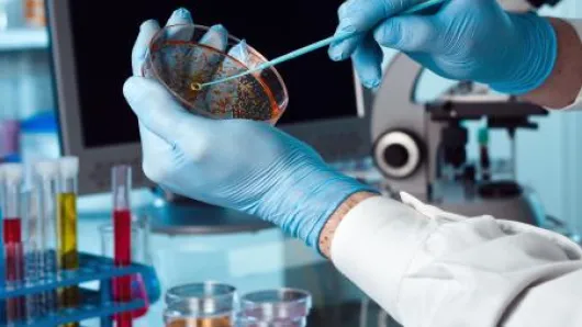 scientist with pipette in hand 