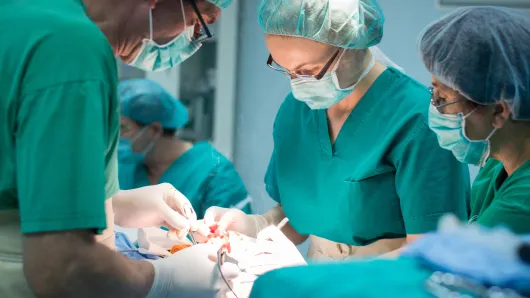 Group of surgeons operating