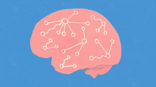 brain