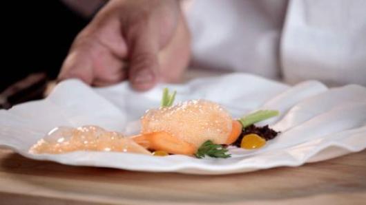 A cooked carrot covered with carrot foam on a white plate