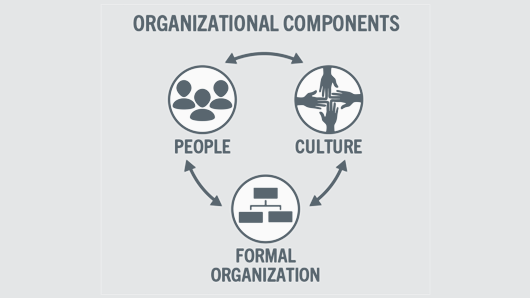 Layout of organizational components