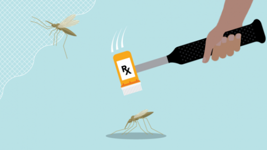 Malaria Courses Harvard University